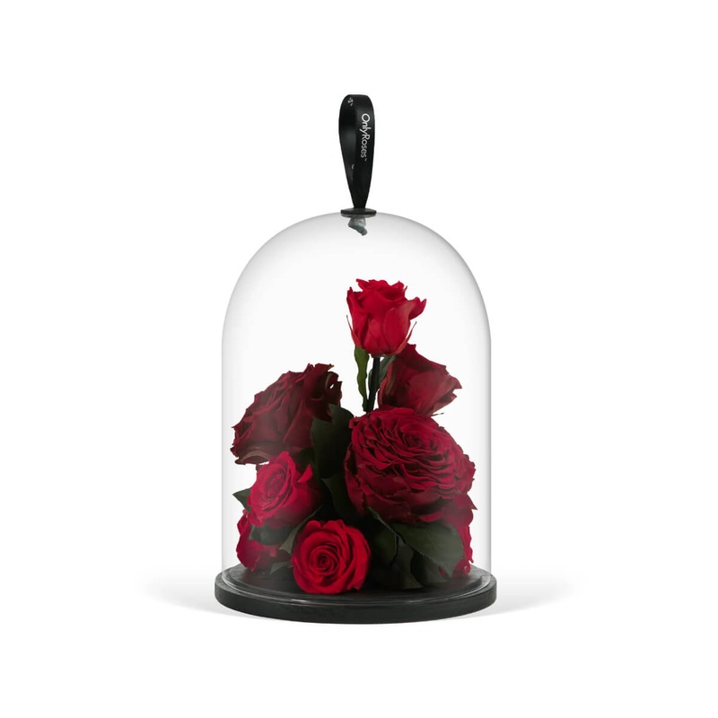 Infinite Rose Jewel Crimson