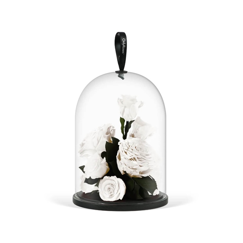 Infinite Rose Jewel White