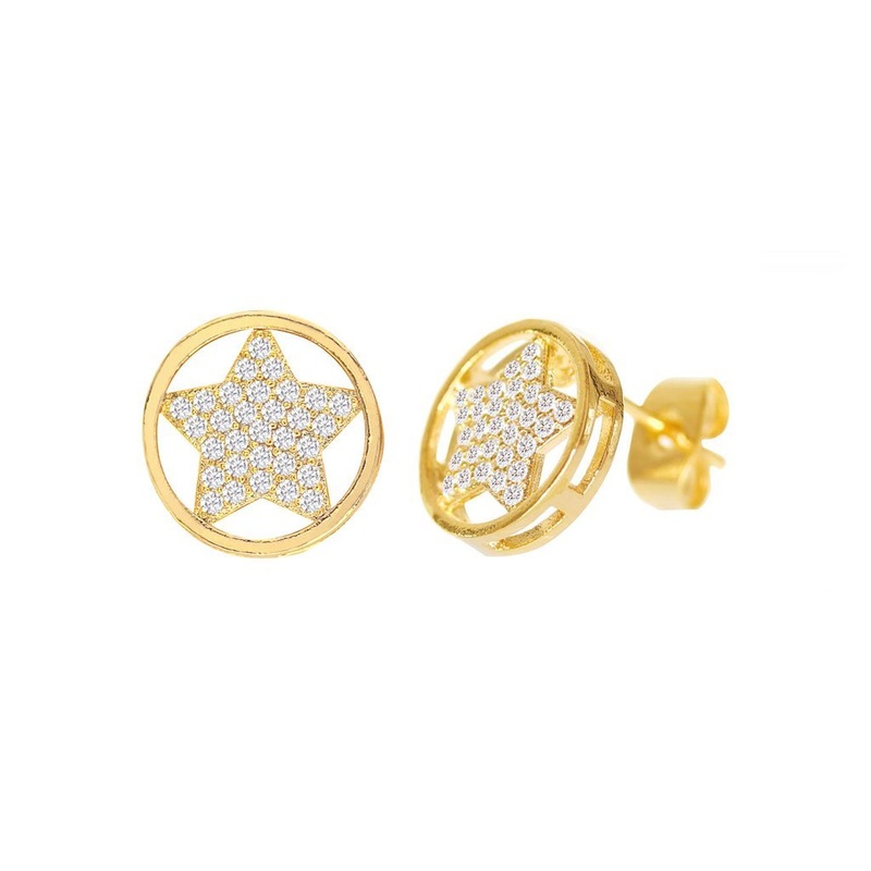 Cubic Zirconia Micro Pave Star In Circle Earring