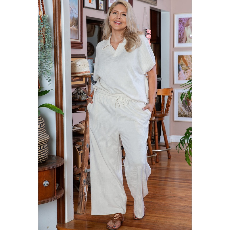 Beige Plus Size Textured Collared Top and Pants Set