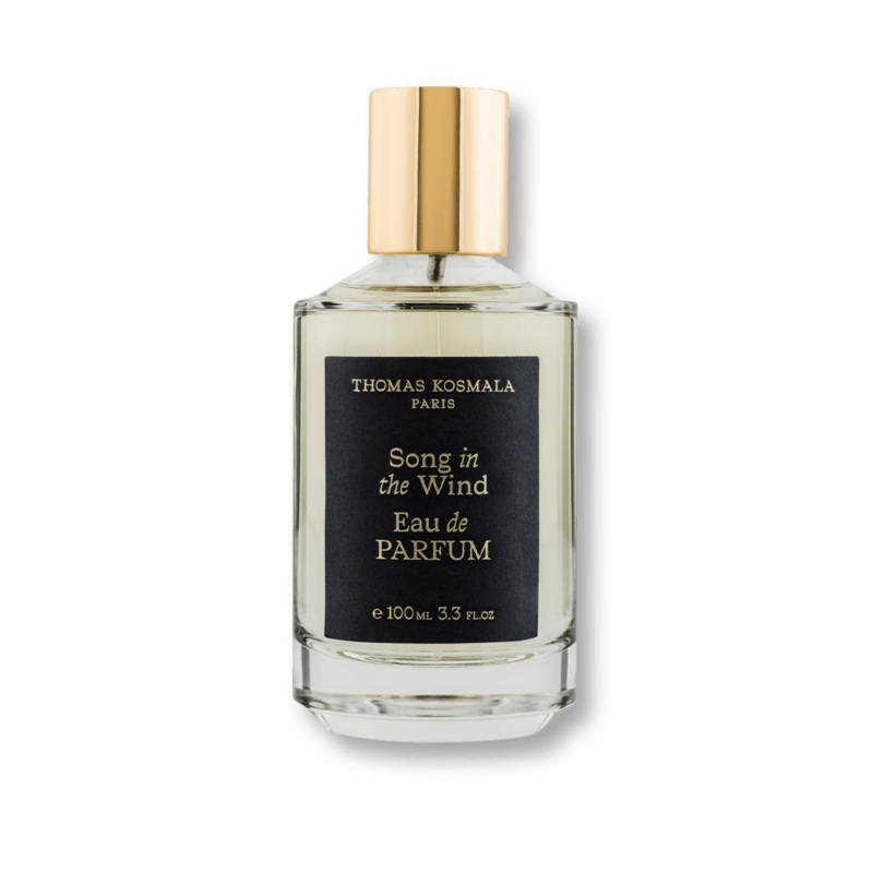 Thomas Kosmala Song In The Wind EDP
